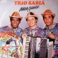 Um dos melhores trios que já vi tocar, atualmente na sua terceira formação e tendo lançado no ano passado um disco em comemoração aos seus 20 anos. Hoje a formação...