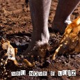 A busca incansável pela qualidade musical uniu quatro músicos que sempre estudaram a fundo as raízes da música popular brasileira. O termo “Luiz” no nome da banda não vem por...