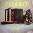 Coletânea – Forró Vol 1 A capa dessa coletânea sugere um disco com músicas soladas em fole de oito baixos, porém, ela reúne diversos artistas com diferentes características. O curioso é que só se encontra...