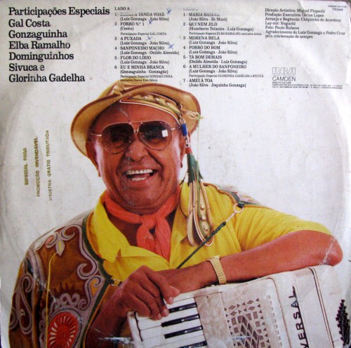luiz-gonzaga-sanfoneiro-macho-verso