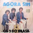 Essa é mais uma colaboração do Zé Neto, filho do Benício Guimarães e atual integrante do Trio Araripe, radicado aqui em São Paulo – SP. É um disco muito bom,...