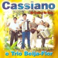Recebi esse CD através do Trio Forrózão, o Trio Beija-flor era o trio que “cobria” quando o Trio Forrózão não podia ir, isso aconteceu no final da década de 1990,...