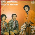 Colaboração do DJ Rogérinho, de São Paulo – SP. Encontrei com ele na semana passada e ele me trouxe esse LP, disse que era um disco “meio diferente” do Trio...