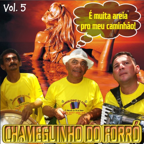 cd-chameguinho-do-forra_5-capa1