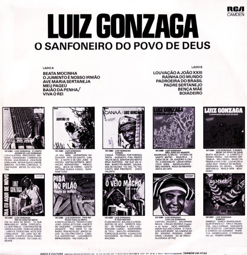 luiz_sanfoneiro_verso