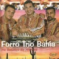 Colaboração do Neto Trindade, músico e apreciador do forró pé de serra. Esse é mais um dos discos que foram gravados e lançados durante o final da década de 1990,...