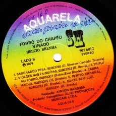 halcio-brenha_forra-do-chapau-virado_b