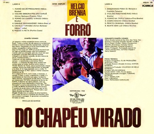 halcio-brenha_forra-do-chapau-virado_verso