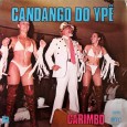 Colaboração do Walmir Frota “Candango do Ypê, disco de 1976. Apesar de não ser forró (é carimbó) creio, salvo melhor entendimento, que merece ser escutado e, quem sabe, divulgado no...