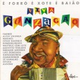 CD – Coletânea – Viva Gonzagão! É forró é xote é baião Colaboração do Nilson Araújo, da Sala Nordestina de Música “Olha uma raridade! LP lançado em 1994, posteriormente lançado em CD, mas difícil de ser encontrado. Uma preciosidade, principalmente para os...