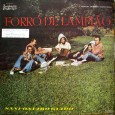 Colaboração do Jorge Paulo, o Bandeirante do Norte Uma raridade, não sabemos a data, mas foi lançada pelo selo ‘Popular’ da gravadora Inspiração. Um disco todo instrumental, produzido por Roberto...