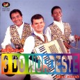 CD – Os 3 do nordeste – Meu xodó Colaboração do Lourenço Molla, de João Pessoa – PB Um raro CD, esse é um dos dois discos gravados com o vocal de Assum Preto, a formação nessa época era...