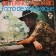 Severino Januário – Forró de xique xique Mais um disco do Severino Januário. Um disco todo instrumental. O nome de cada música já define o ritmo, muito bom pra se dançar. Severino Januário – Forró de xique...
